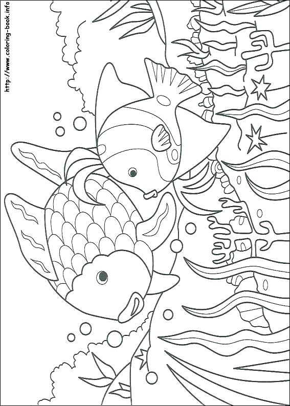 567x794 Fish Coloring Pages For Adults Plus Free Fish Fish Coloring Pages