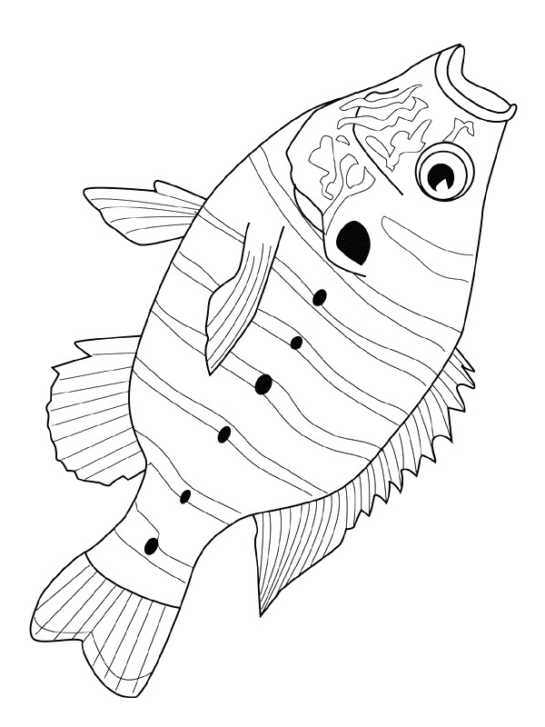 600x800 Kids N Coloring Pages Of Fish