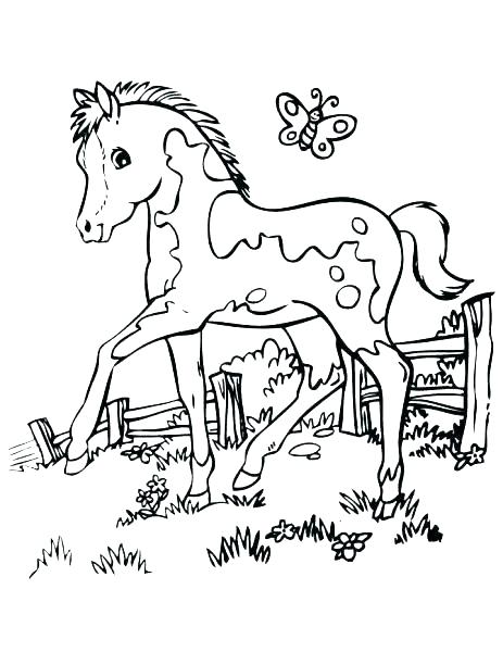 463x600 Realistic Horse Coloring Pages Horse Jumping Coloring Pages