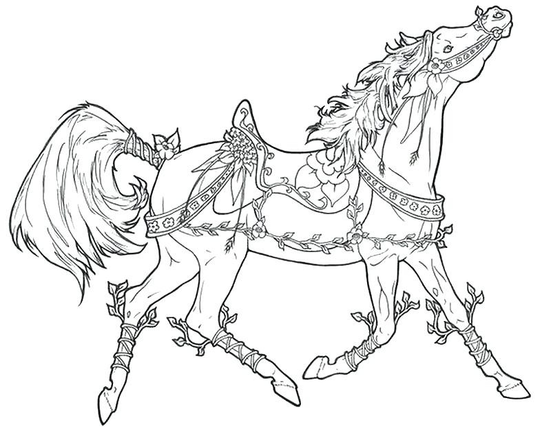 800x620 Horse Coloring Pages For Adults