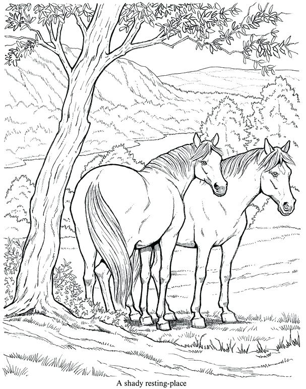 607x770 Detailed Horse Coloring Pages