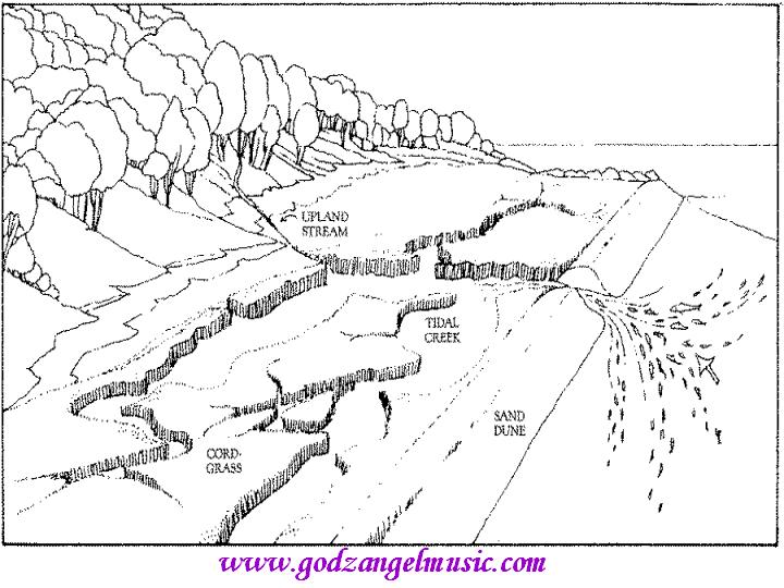 720x540 Landscape Coloring Pages For Adults Category, Landscape Colouring