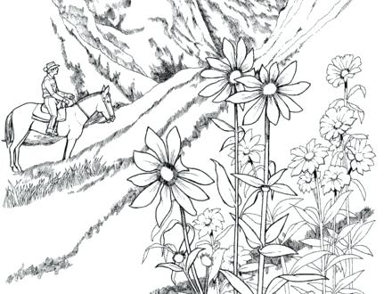 440x330 Landscape Coloring Pages For Adults Page Printable