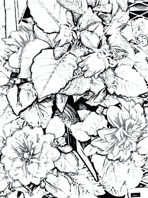 618x827 Winter Landscape Coloring Pages