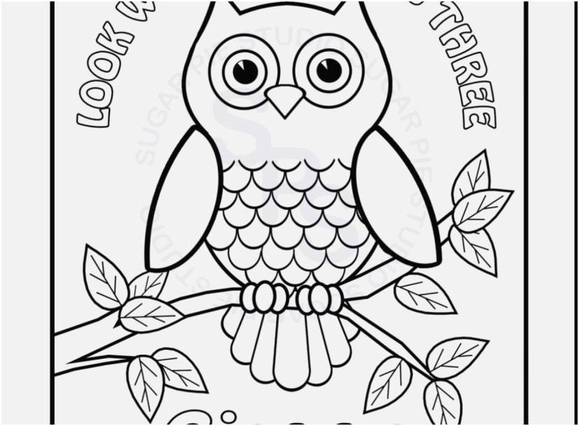 Detailed Owl Coloring Pages