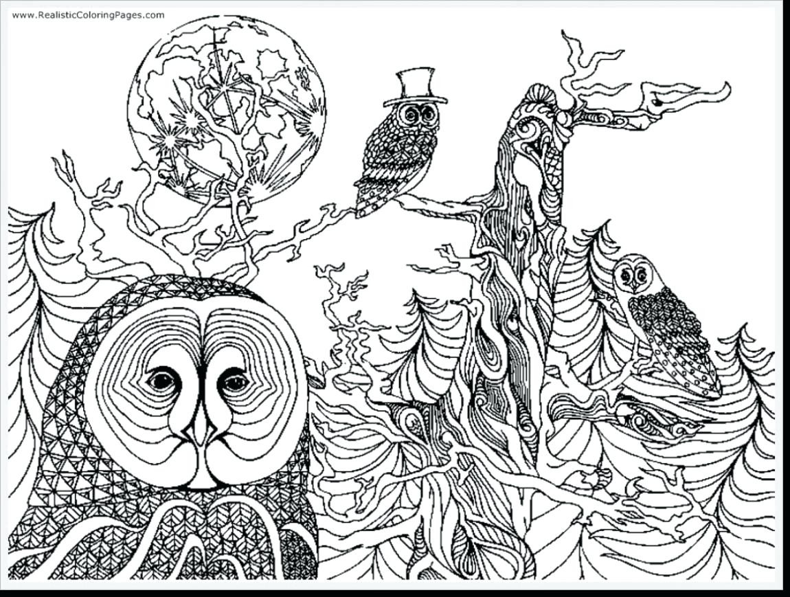 1150x869 Owl Coloring Pages For Adults Free Detailed Owl Endearing