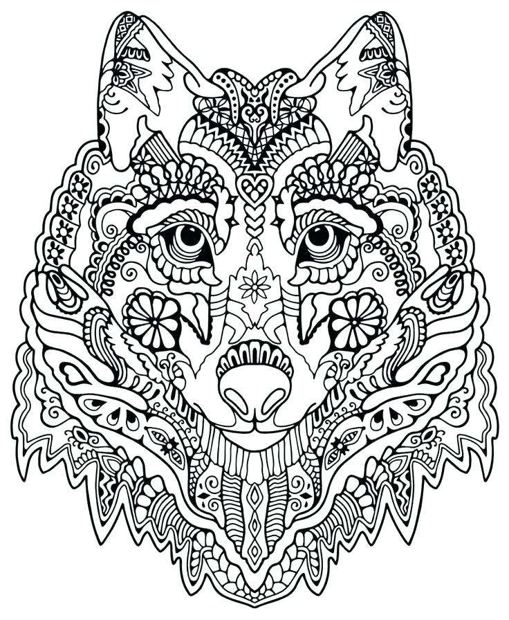 736x896 Owl Coloring Pages For Adults Free Detailed Owl Coloring Pages
