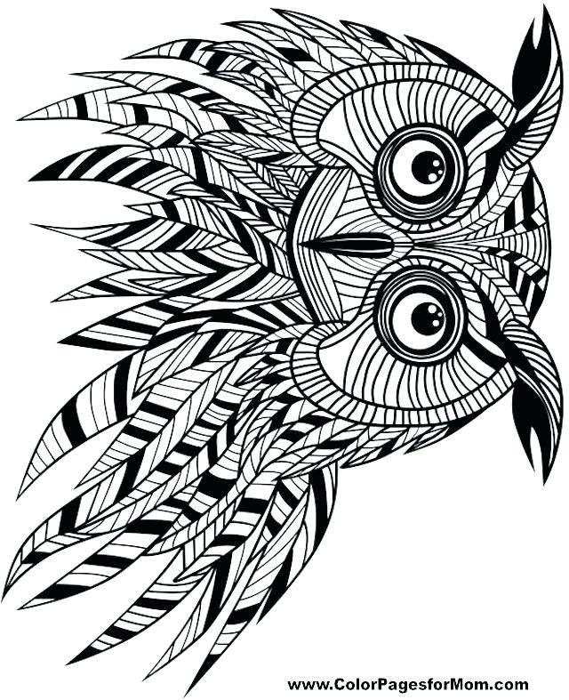 640x787 Detailed Owl Coloring Pages Barn Coloring Pages Barn Owl Coloring