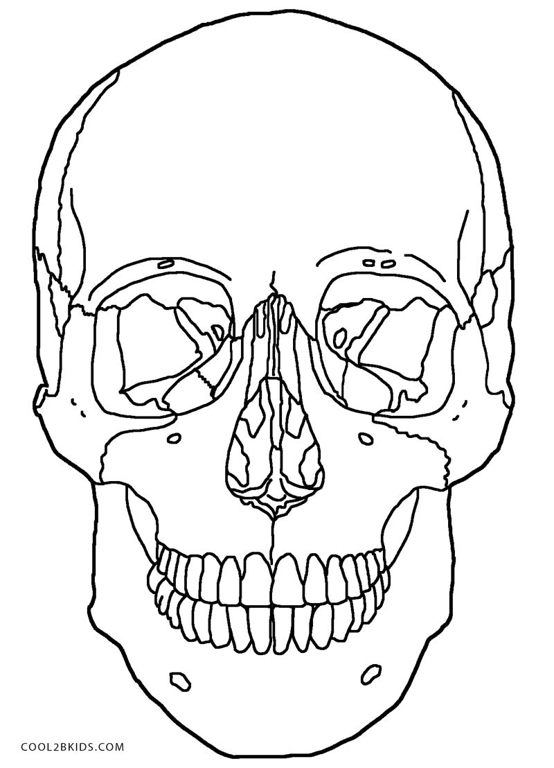800x1108 Lovely Skull Coloring Pages Kids Information And Ideas