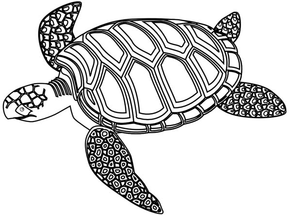 600x444 Mozaic Green Sea Turtle Coloring Page