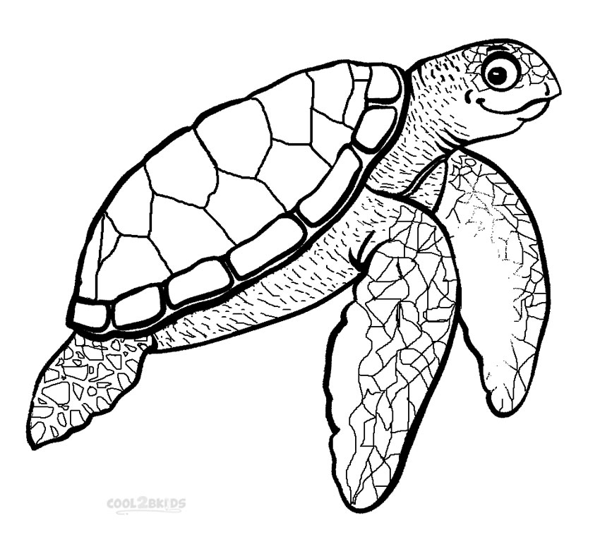 850x761 Printable Sea Turtle Coloring Pages For Kids