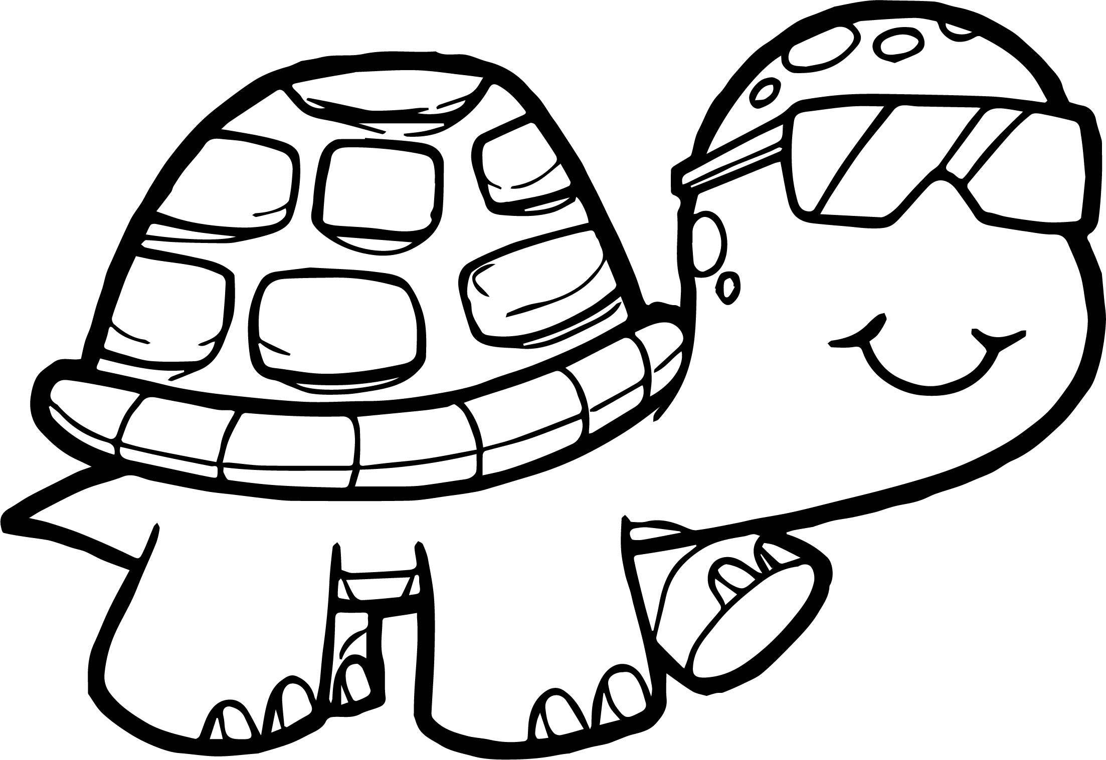 2206x1517 Turtle Coloring Page Lovely Realistic Sea Turtle Coloring Page