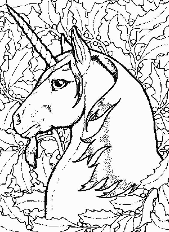 564x772 Beautiful Unicorn Coloring Pages For Adults