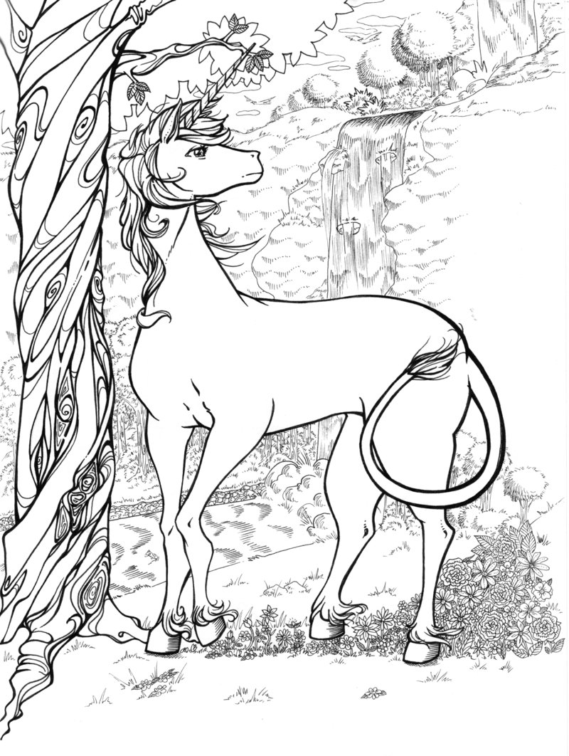 800x1062 The Last Unicorn Coloring Pages For Adults