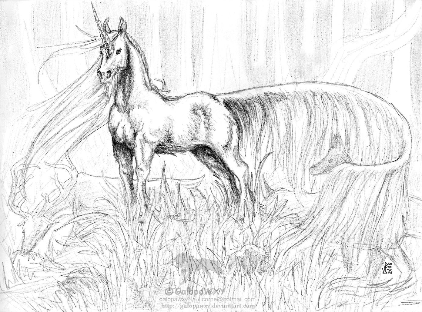 1392x1030 Unicorn Coloring Pages Adult Coloring Pages