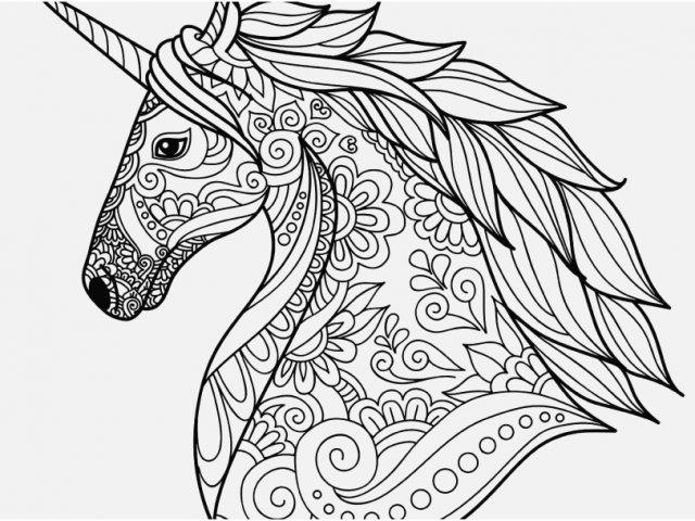 640x480 Unicorn Coloring Pages For Adults Footage Unicorn Head Simple