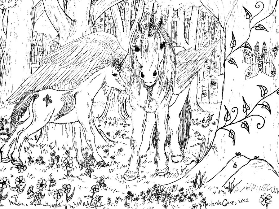 900x675 Winged Unicorn Coloring Page
