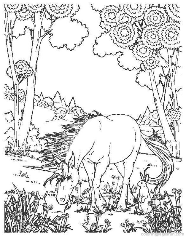 627x800 Detailed Unicorn Coloring Pages