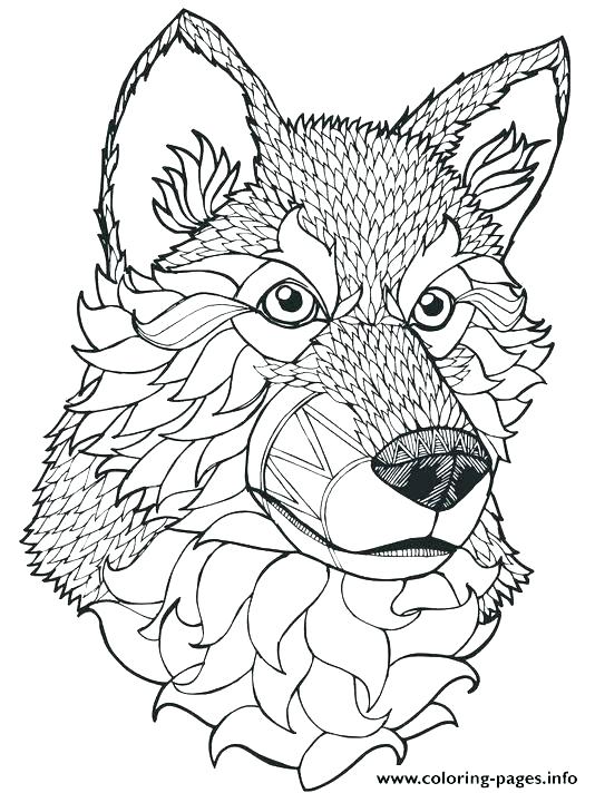 534x712 Realistic Wolf Coloring Pages Werewolf Characters Printable