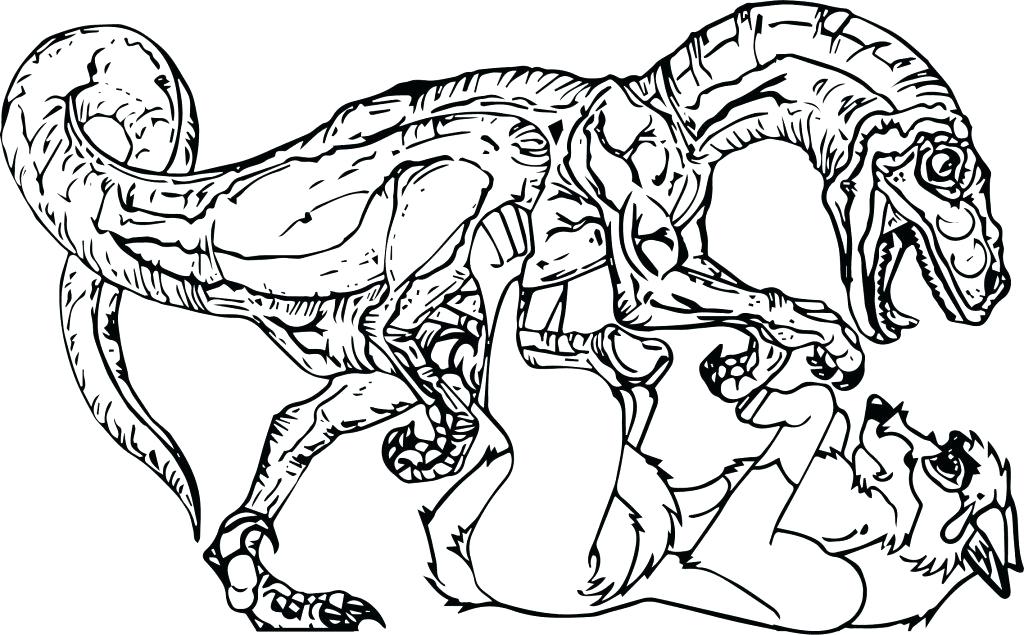 1024x635 Realistic Wolf Coloring Pages Vanda