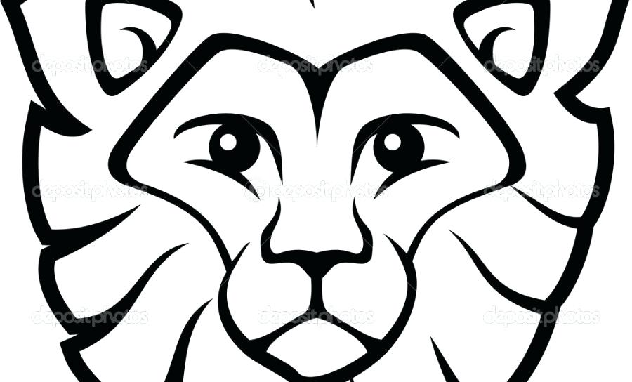 900x544 Free Detroit Lions Coloring Pages Mountain Lion Page King P