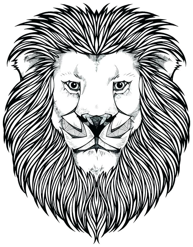 736x944 Lions Coloring Pictures Realistic Lion Coloring Pages Pictures