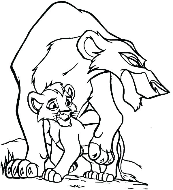 600x658 Lions Coloring Pages