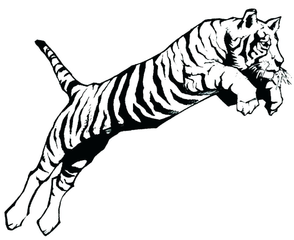 966x790 Detroit Tigers Coloring Pages Coloring Pages Tiger Shark Baby