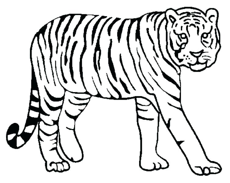 754x600 Detroit Tigers Coloring Pages Lion Coloring Page Detroit Tigers