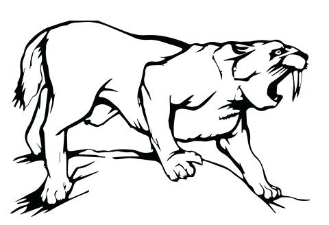 480x328 Printable Tiger Coloring Pages Click To See Printable Version