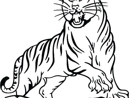 440x330 Tigers Coloring Pages Tiger Coloring Page Cute Baby Tiger Coloring