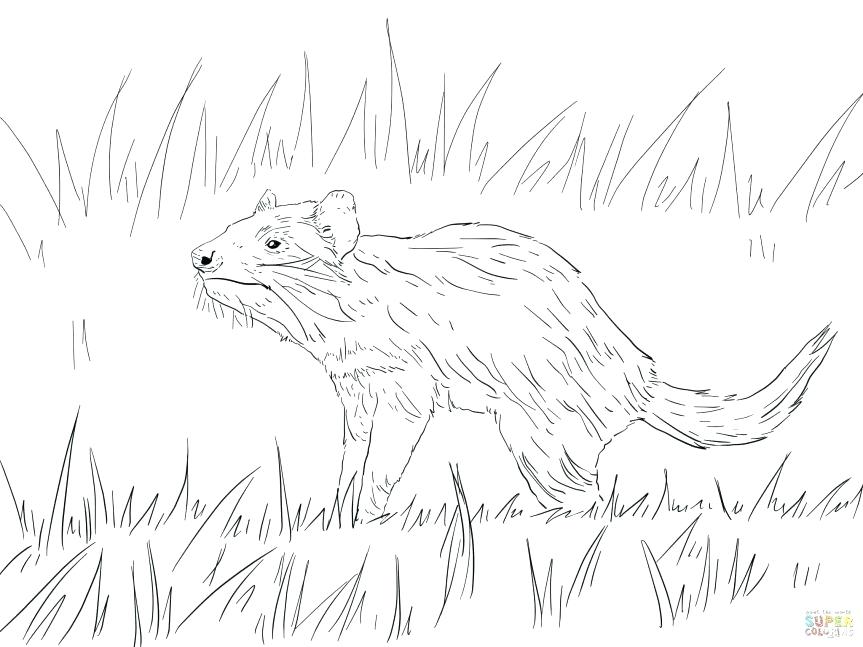 863x647 Taz Coloring Pages Coloring Pages Devil Coloring Pages Free Tunes