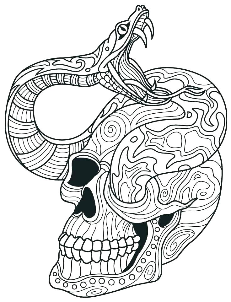 736x962 Rattlesnake Coloring Pages