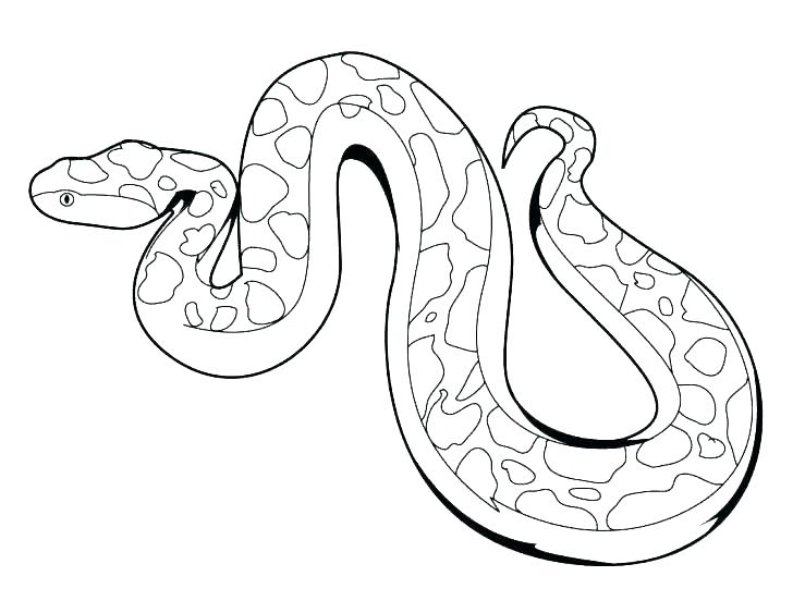 728x563 Coloring Coloring Page Snake King Cobra Pages Snakes Western