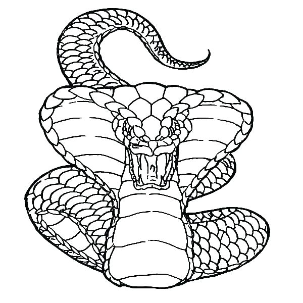 600x600 Coloring Page Snake Coloring Pages Of Snakes Coloring Pages Snakes