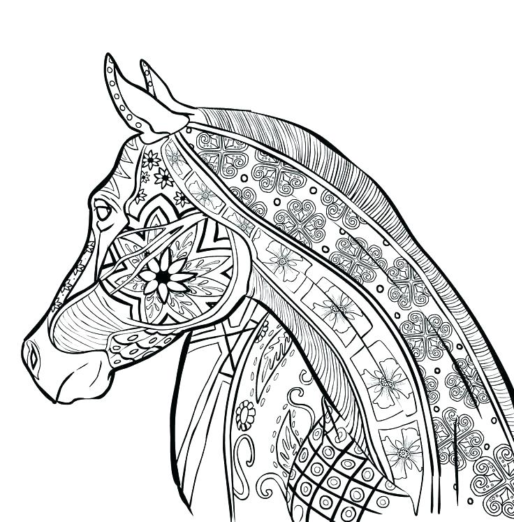 736x747 Animal Coloring Pages For Adults
