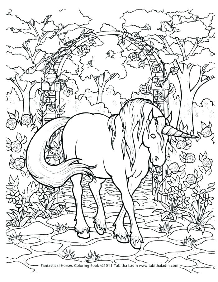700x905 Animal Coloring Pages Hard
