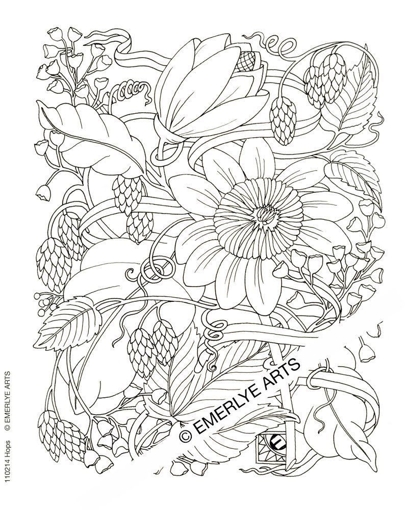 800x1000 Coloring Pages For Adults Difficult Flower Acpra