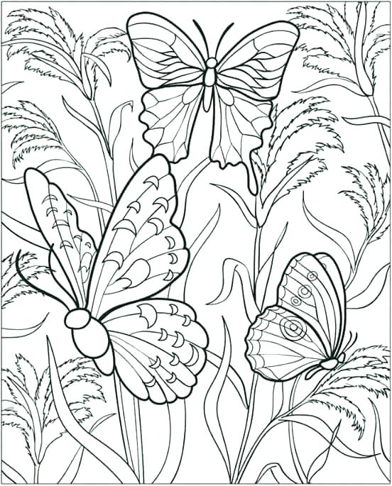552x685 Difficult Coloring Pages Free Impressive Ideas Complicated
