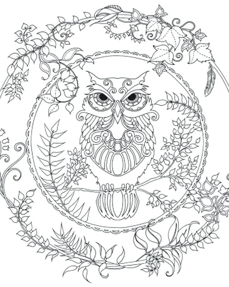 736x919 Coloring Pages Owls Coloring Pages For Adults Difficult Owls