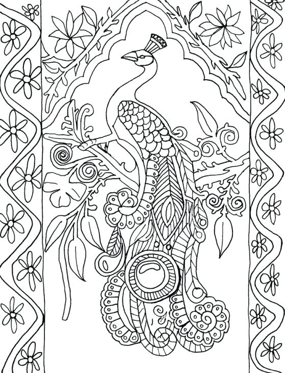559x730 Difficult Coloring Pages Free Free Peacock Difficult Coloring Page