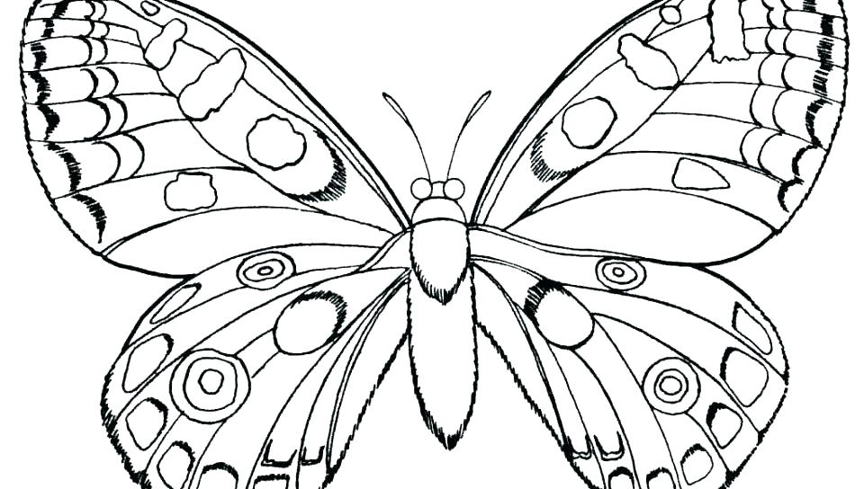 960x544 Butterfly Coloring Pictures Butterfly Coloring Pages Free