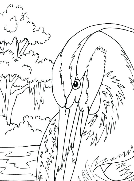 570x768 Digital Coloring Pages