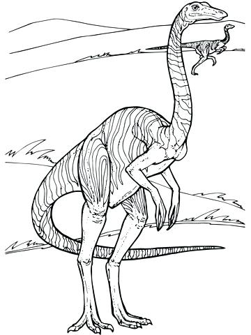 360x480 Dilophosaurus Coloring Page Park Coloring Page Park Coloring Pages