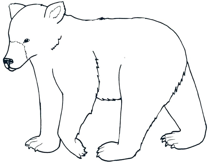 878x697 Wombat Coloring Page Dingo And Wombat In A Pot Coloring Page