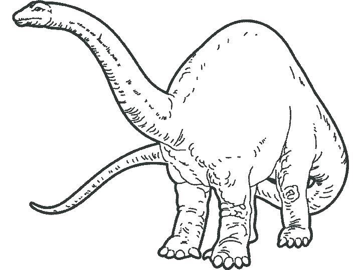 Dino Coloring Pages at GetDrawings | Free download