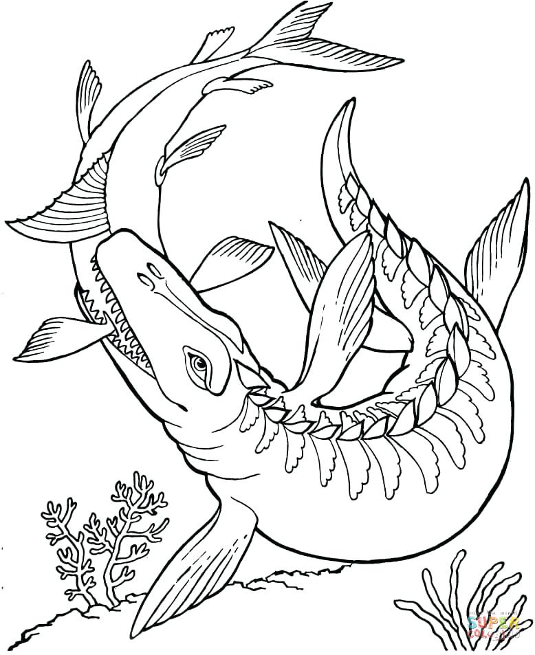 778x953 Free Dinosaur Coloring Pages For Dinosaur Coloring Page Free