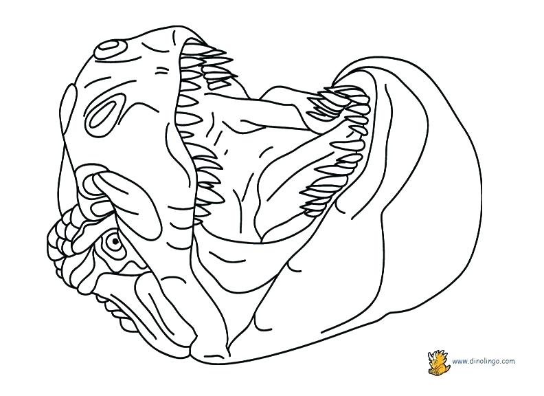 792x576 Dinosaur Coloring Page Ideal Free Dino Coloring Pages Best