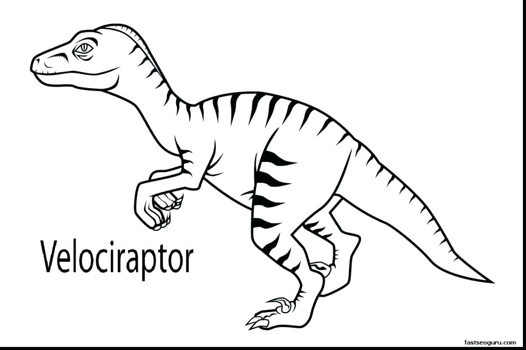 1024x683 Squad Coloring Pages With Squad X Coloring Pages For Kids Cars