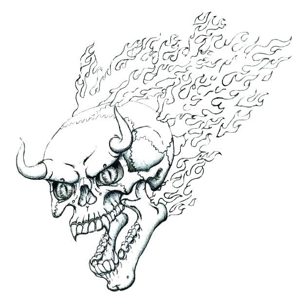 Dinosaur Bone Drawing at GetDrawings | Free download